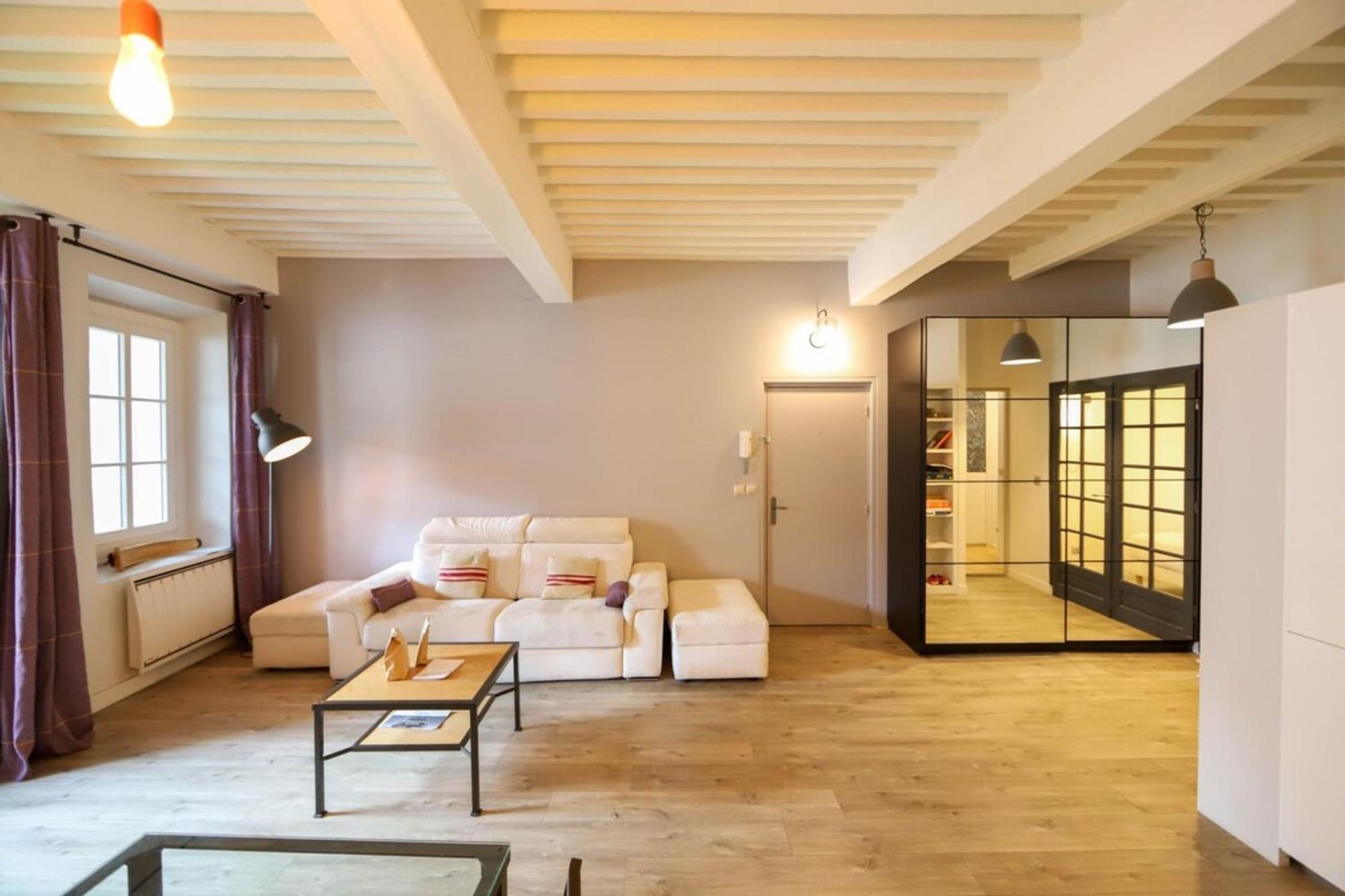 55 M2 Apart With Big Terrace In Annecy Downtown Eksteriør bilde